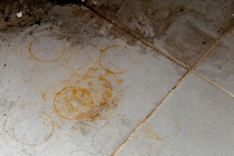 Techniques modernes pour la rénovation de carrelage à Woippy, guide pratique